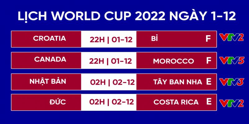 Bảng tổng hợp lịch đá World Cup 2022 mới nhất cho anh em cược thủ